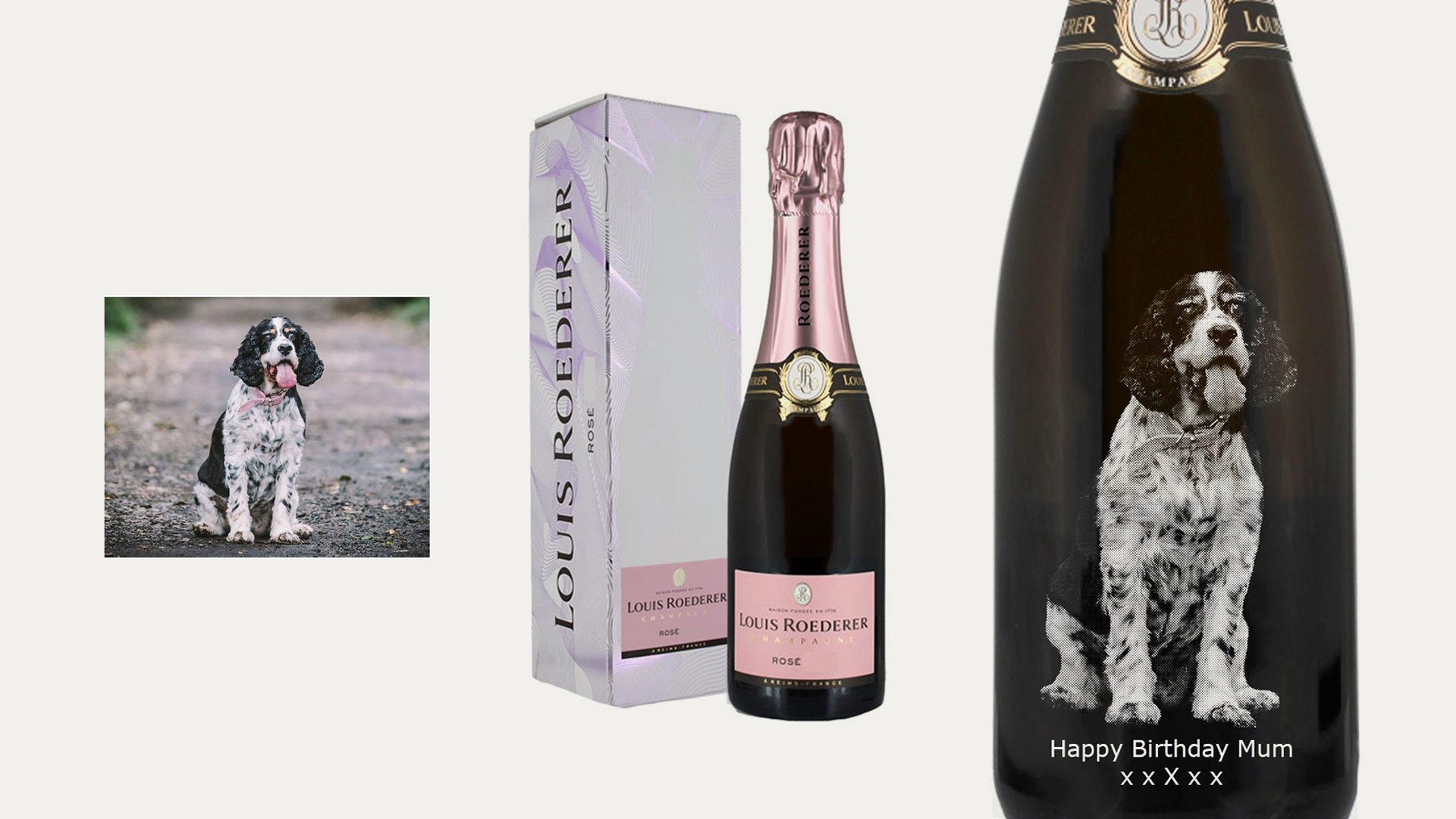 Louis roederer dog