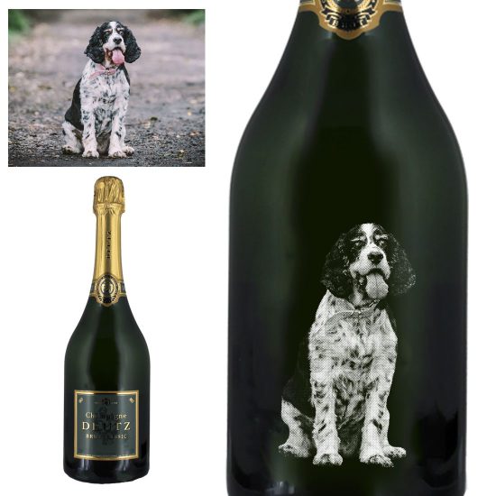 Photo Engraved Deutz Brut Classic Champagne 75cl