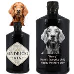 Photo Engraved Hendricks Gin 70cl