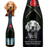 Photo Engraved Moët & Chandon Nectar Impérial Champagne 75cl
